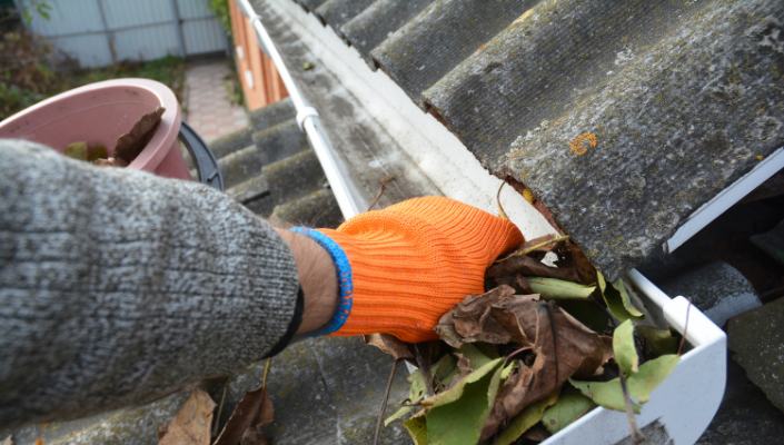 Action Gutter Cleaning